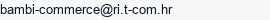 E-mail