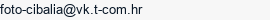 E-mail