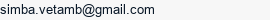 E-mail